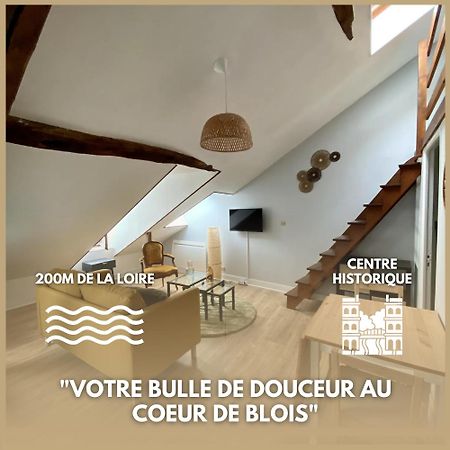 Le Cocon - Appartement En Hyper Centre Blois Eksteriør billede