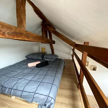 Le Cocon - Appartement En Hyper Centre Blois Eksteriør billede