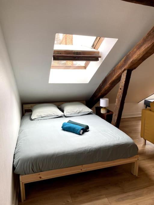 Le Cocon - Appartement En Hyper Centre Blois Eksteriør billede
